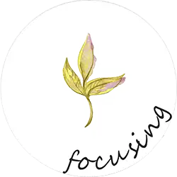 Warsztaty Samorozwojowe - Focusing - Małgorzata Bochińska